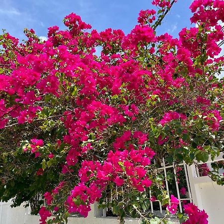 Les Villas Du Bambou - Villa Paprika Jusqu'A 6 Pers Le Gosier  Εξωτερικό φωτογραφία