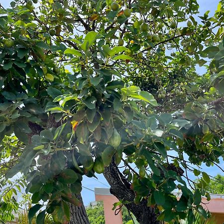 Les Villas Du Bambou - Villa Paprika Jusqu'A 6 Pers Le Gosier  Εξωτερικό φωτογραφία